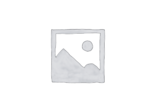 PHP Scripts